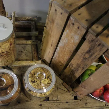 Dannunziano Aparthotel 4*